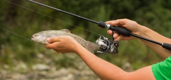 Trout Fishing Tips To Catch A Record-Breaker