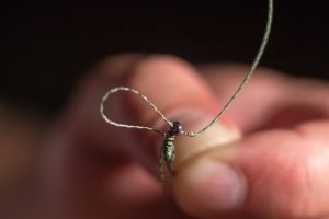Man hand tying a fishing hook. Tie the rig. Selective focus. Tie Hook Close Up. Tie Fishing Hook Tying a fishing hook Process. Tie the KD rig and catch more carp.